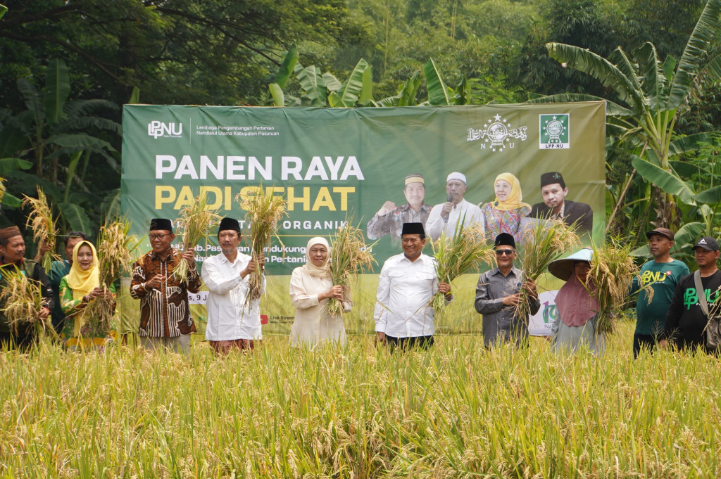Gubernur Jatim Panen Raya Padi Sehat di Kabupaten Pasuruan