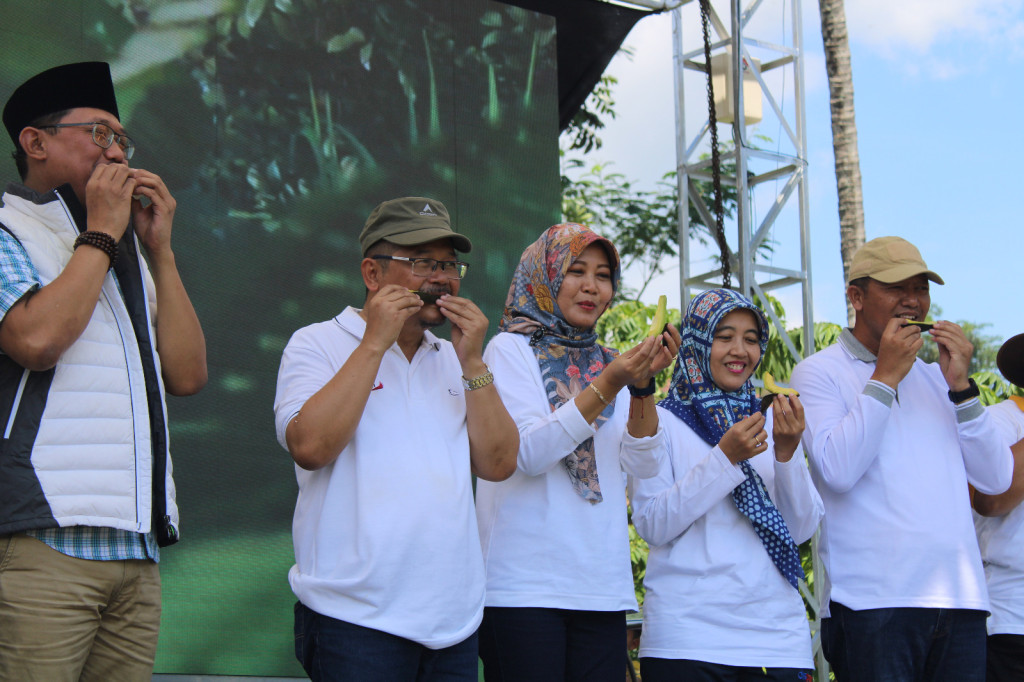 Festival GEMA KATING (Gerakan Makan Alpukat untuk Penanggulangan Stunting) 2024