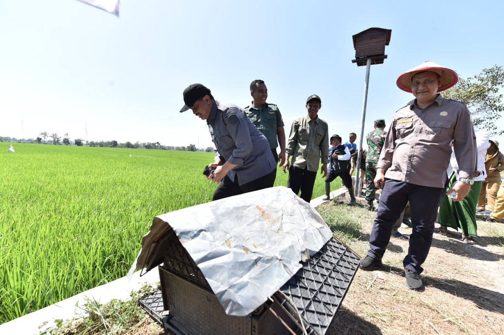 Kunjungan Lapang Dirjen Tanaman Pangan ke Lokasi Rumah Burung Hantu